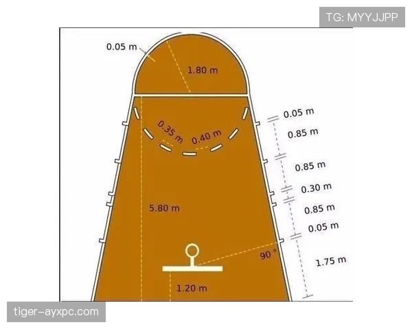 全面解析篮球比赛中的限制区规则具体是如何定义与执行的 全面解析篮球比赛中的限制区规则具体是如何定义与执行的