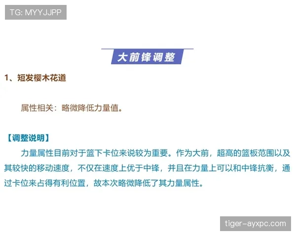 篮球暂停规则深度解析：次数分配与时机判定