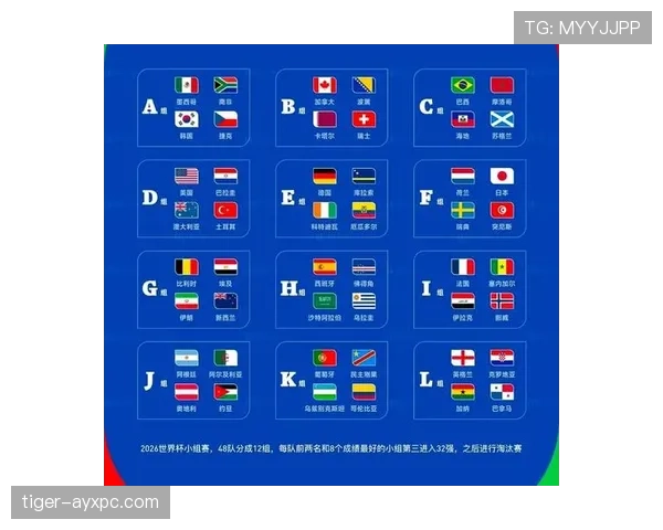 瑞典队2026世界杯C组实力排名分析